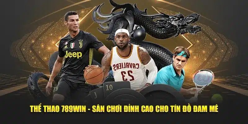 Thể thao 789win là nền tảng được yêu thích nhất hiện nay